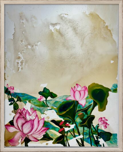 The Lotus Pond